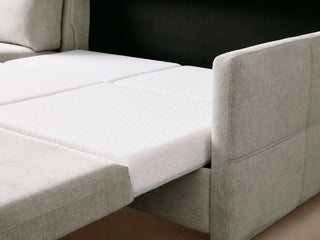 Reece Two-Piece Sleeper Chaise Sectional