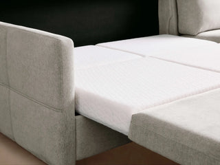 Reece Two-Piece Sleeper Chaise Sectional