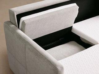 Reece Two-Piece Sleeper Chaise Sectional