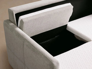 Reece Two-Piece Sleeper Chaise Sectional