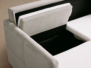Reece Sleeper Sofa