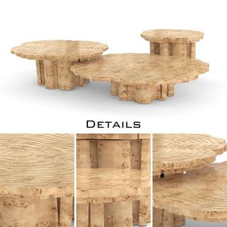 Luxury Patina Brass Coffee Table Set with Round Tiered Tops & Statement Design