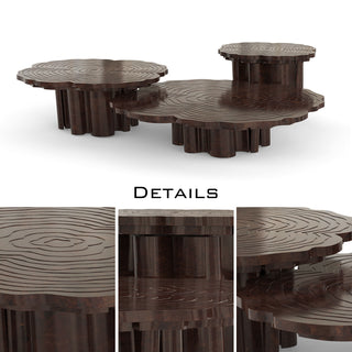 Luxury Patina Brass Coffee Table Set with Round Tiered Tops & Statement Design