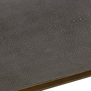 Max Rectangular Glass Coffee Table Faux Shagreen Living Room Center Tea Table