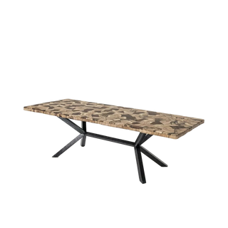 Petra Rectangular Dining Table – Marble & Petrified Wood Top with Iron Base
