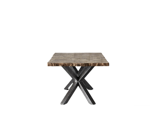 Petra Rectangular Dining Table – Marble & Petrified Wood Top with Iron Base