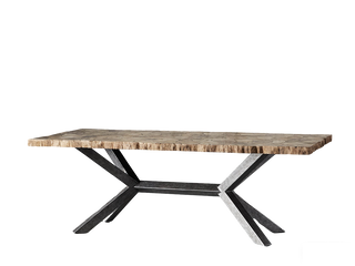 Petra Rectangular Dining Table – Marble & Petrified Wood Top with Iron Base
