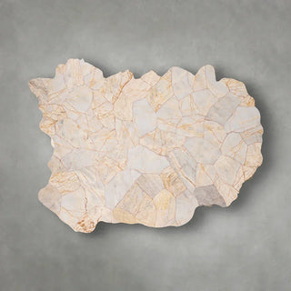 Clayhill Irregular Shape Coffee Table Petrified Wood Cocktail Table Unique Sofa Center Tea Table