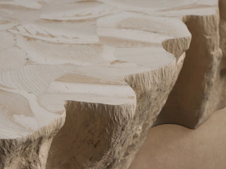 Clayhill Petrified Wood Outdoor Coffee Table