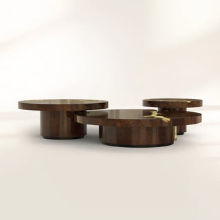 Luxury Patina Brass Coffee Table Set with Round Tiered Tops & Statement Design