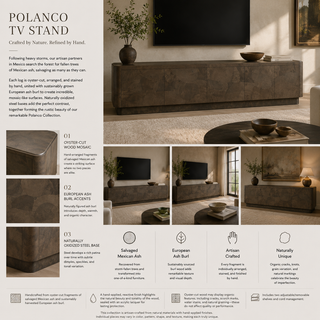 Polanco TV Stand Unit Wood Sideboard Media Console Ash Entryways Storage Cabinet