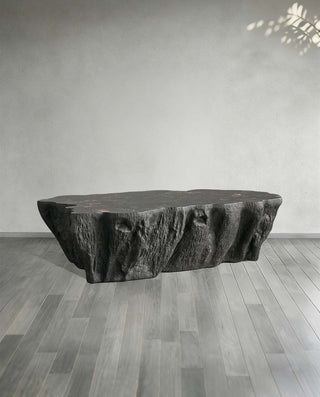 Clayhill Irregular Shape Coffee Table Petrified Wood Cocktail Table Unique Sofa Center Tea Table