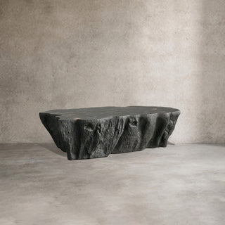 Clayhill Irregular Shape Coffee Table Petrified Wood Cocktail Table Unique Sofa Center Tea Table
