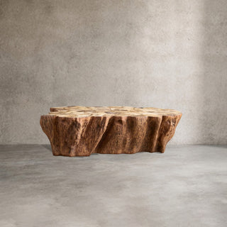 Clayhill Irregular Shape Coffee Table Petrified Wood Cocktail Table Unique Sofa Center Tea Table