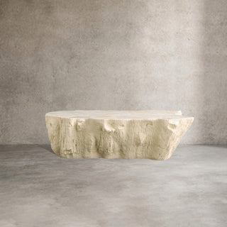 Clayhill Irregular Shape Coffee Table Petrified Wood Cocktail Table Unique Sofa Center Tea Table