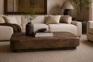 Polanco Ash Burl Plinth Coffee Table with Oxidized Steel Base
