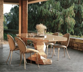 Bonsai Dining Table with Minimalism & Personalized Faceted Dining Table