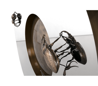 Metamorphosis Consoles Patina Brass Sculptural Entryways Cabinet Table